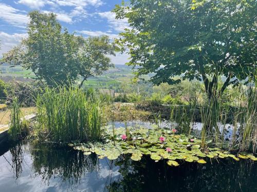 a pond filled with lots of water lilies at Wohlfühl-Haus mit Panoramablick in Oberneuforn