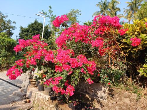 a bunch of pink flowers on a wall at Tiny Container Cabin @ Umah Chronosophere - Bali in Balian