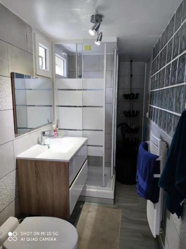 a bathroom with a sink and a shower and a toilet at 10 min to Disneyland Paris, a T3 renewed in a big house, all equiped for 4 or 6 persons in Collégien
