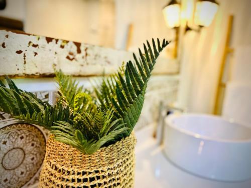 a basket with a plant sitting on a bathroom counter at Sakae Paradise Resort in Lusaka