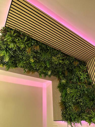 a green wall with plants on top of a building at Tropical Holiday House in Catania