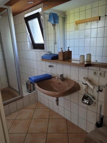 a bathroom with a sink and a mirror at Pension Waldblick in Böbrach