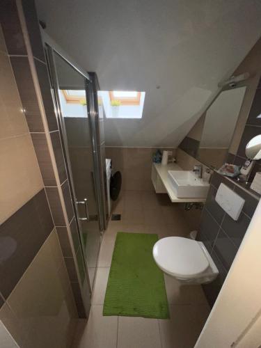 La salle de bains est pourvue de toilettes, d'une douche et d'un lavabo. dans l'établissement Plitvice Studio Sara, aux lacs de Plitvice
