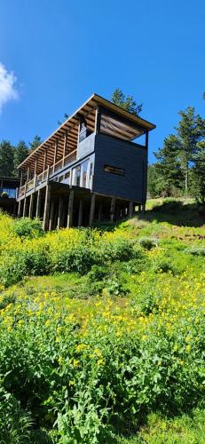 una casa en la cima de una colina con un campo de flores en Maravillosas Vistas Boyeruca Lodge en Vichuquén