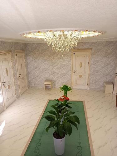 a living room with a table with a plant on it at Dari Zanjir in Samarkand