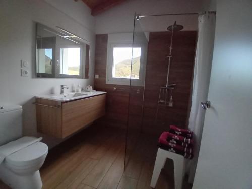 a bathroom with a shower and a toilet and a sink at ATALOZTI Maison d'hôtes ST JEAN PIED DE PORT in Ascarat