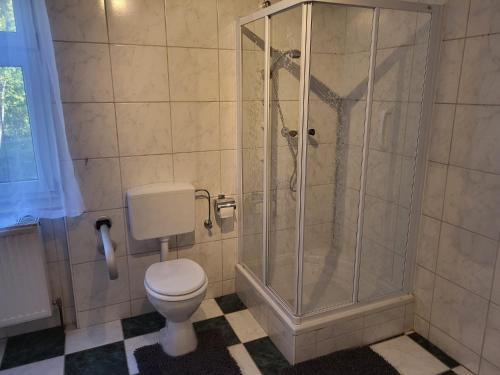 bagno con doccia e servizi igienici. di Ferienwohnung Mostheuriger Leo-Hof Eva a Reichenau