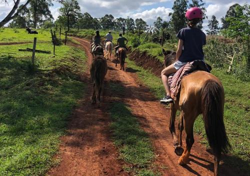 a group of people riding horses down a dirt road at ECOLODGE PIEDRA Y AGUA in El Soberbio