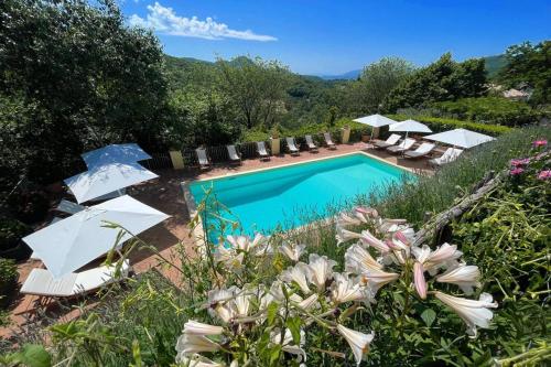 An oasis like no other – Photos 5