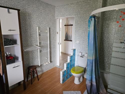 baño con aseo verde y lavamanos en Vaste maison Fouras 15 pers 6 chbres meublé 3*, en Fouras