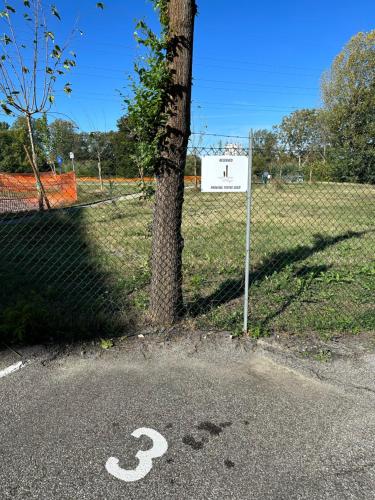 a snake painted on the road next to a tree at Casavacanzetoffee Gold in Bologna