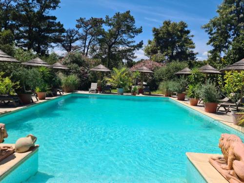 - une piscine dans un complexe avec des parasols dans l'établissement Relais de Bravone, à Linguizzetta