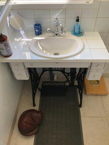 a sink in a bathroom with a cat under it at St Pasha in Paillé