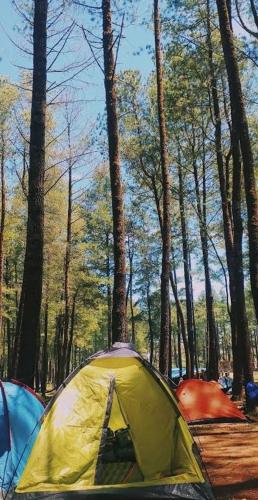 a yellow tent in the middle of a forest at view cemping glamping in Bukittinggi