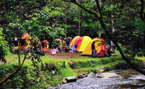 a group of tents in a field next to a stream at view cemping glamping in Bukittinggi