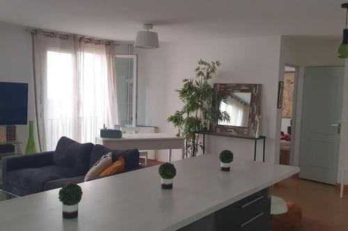 - un salon avec une table et des plantes en pot dans l'établissement Bel et grand appartement chaleureux hyper centre, à Avignon