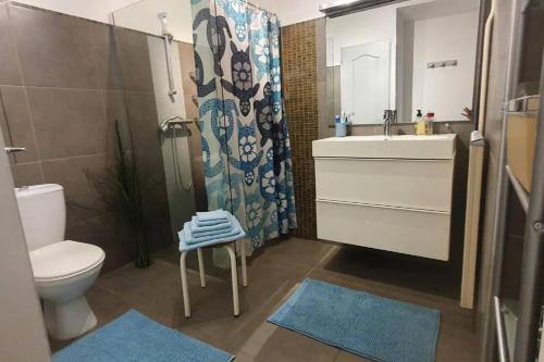 une salle de bain avec toilettes, lavabo et douche dans l'établissement Bel et grand appartement chaleureux hyper centre, à Avignon