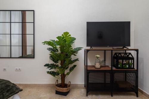 Central Studio Apartment