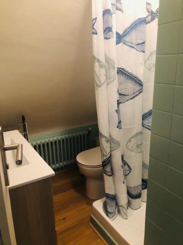 une salle de bain avec toilettes et rideau de douche dans l'établissement Maison lumineuse 2mn plage et village de Morgat, à Crozon