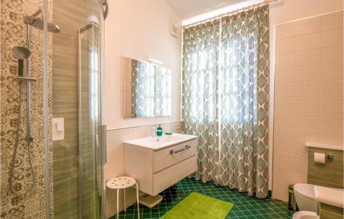 富切基奧的住宿－Pet Friendly Home In Fucecchio With Wi-fi，一间带水槽和淋浴的浴室
