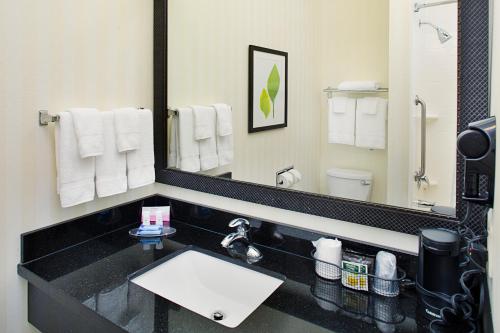 a bathroom with a sink and a large mirror at Fairfield Inn & Suites by Marriott Jonesboro in Jonesboro