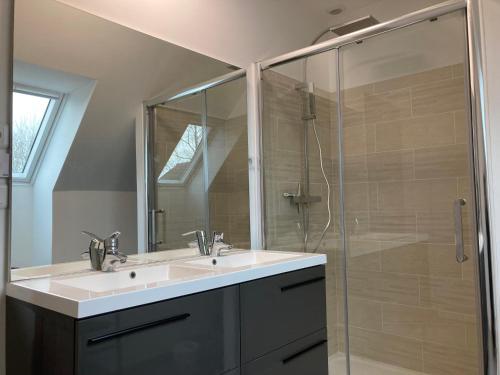 a bathroom with a sink and a glass shower at Gîte du Pré Rond in Saint-Gervais en-Belin