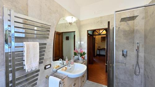 a bathroom with a sink and a shower at Angolino in Radda in Chianti