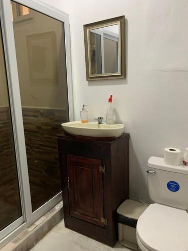 a bathroom with a sink and a toilet and a shower at Complejo Deportivo Wilson Palacios in La Ceiba