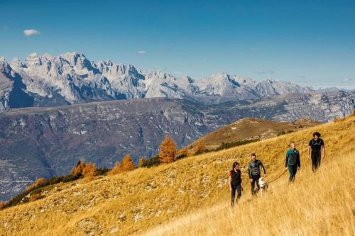 a group of people walking on a hill with a dog at Monolocale Niki - Holiday Home in Trento