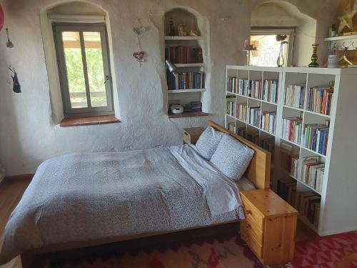a bedroom with a bed and book shelves with books at The Artist's House in Psárion