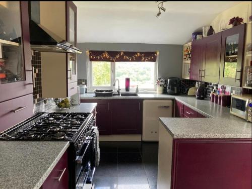 a kitchen with purple cabinets and a stove top oven at Butterfly House in Blackwood