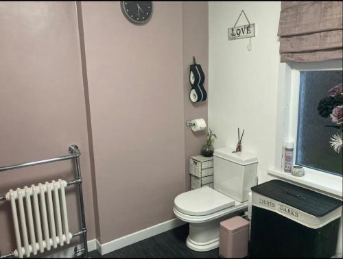 a bathroom with a white toilet and a radiator at Butterfly House in Blackwood