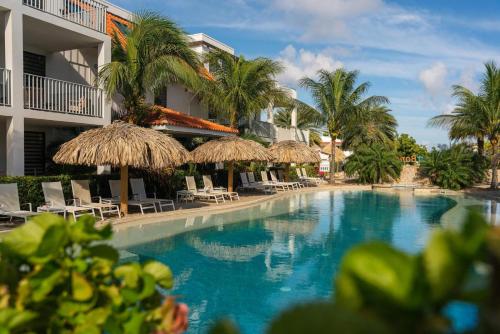 een zwembad met stoelen en parasols naast een hotel bij MaJa appartement Bonaire in Kralendijk