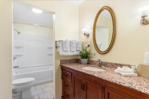 a bathroom with a sink and a toilet and a mirror at Blue Spruce Inn & Suites in Valatie