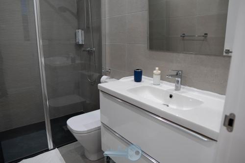 a bathroom with a sink and a toilet and a shower at EDIFICIO 1521 in Logroño