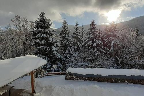 a snow covered yard with trees in the background at Appartement cosy à Bussang in Bussang