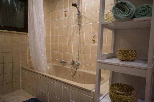 a bathroom with a shower and a bath tub at Gemütliche Wohnung mit Neckarblick in Eberbach