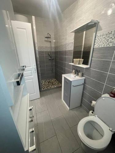 弗朗斯地区特朗布莱Appart T2 proche Aéroport Roissy的浴室配有卫生间、盥洗盆和淋浴。