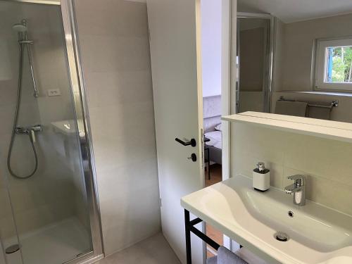 a bathroom with a shower and a sink at Apartments Villa Iva in Ravni