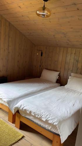 Photo de la galerie de l'établissement Chalet luxueux, à Châtel
