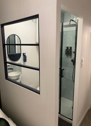 La salle de bains est pourvue d'un miroir et de toilettes. dans l'établissement Logement de charme Toulouse, à Toulouse