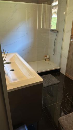 a bathroom with a white sink and a shower at Chalet luxueux in Châtel