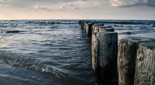 a row of wooden posts in the ocean at Ptasi Dom — Saunowisko w Kępie in Świeszyno