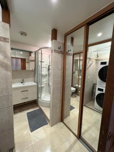 W łazience znajduje się prysznic, umywalka i toaleta. w obiekcie Courbevoie Riverview w mieście Courbevoie
