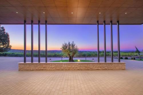 a view from the inside of a building with a tree at KatarzynA Hotel in Svilengrad