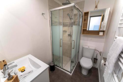 une salle de bain avec une douche, des toilettes et un lavabo dans l'établissement NICE CENTRE-VILLE STUDIO 2 en étage, à Nice