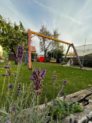 a playground in a park with purple flowers at Dětský svět nedaleko Kraví Hory in Bořetice