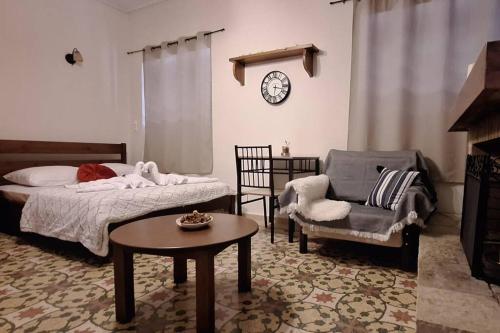 ein Schlafzimmer mit einem Bett, einem Stuhl und einem Tisch in der Unterkunft Ορεινό καταφύγιο Παρνασσού 2 in Amfikleia