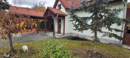 una casa con un perro parado frente a ella en Villa Gejzir 16, en Karlovy Vary