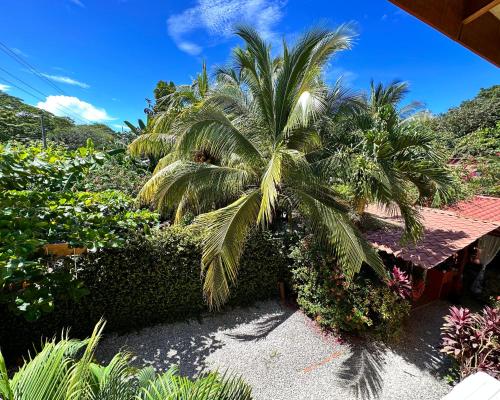 a palm tree in the middle of a garden at The Inner Light Yoga Lodge in Sámara